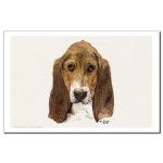 Basset Hound Watercolor 11 X 17 Poster/Print by NANCE